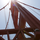 Image for article titled Shooting Challenge: Lens Flare Gallery Part Two
